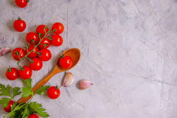 tomato, garlic, herbs on a concrete background