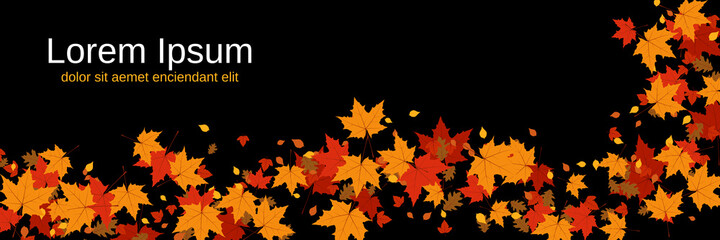 Autumn style vector banner template. Black background with colorful tree leaves
