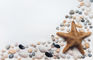 Starfish and seashells lie on white paper. Composition from a set of shellfish shells. Background with copy space.