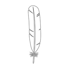 Feather bird vector outline icon. Vector illustration quill on white background. Isolated outline illustration icon of feather bird .