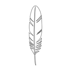 Feather bird vector outline icon. Vector illustration quill on white background. Isolated outline illustration icon of feather bird .