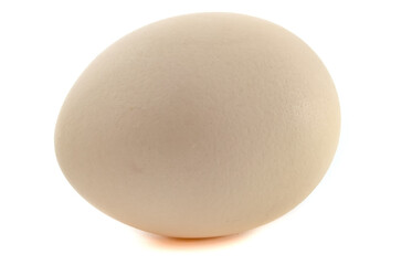Chicken egg isolated on a white background.