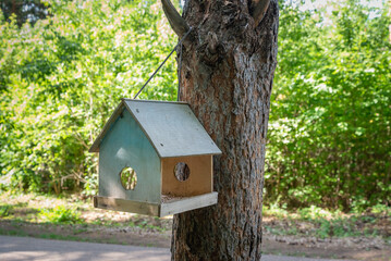 Birdhouse on a tree in the park.