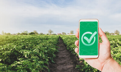 Phone with a quality mark on a farm plantation. Growing organic vegetables. Control permissible...