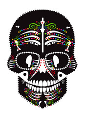 Skull icon with bones, black vector on the white background 