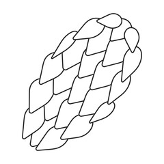 Pine cone vector outline icon. Vector illustration pinecone on white background. Isolated outline illustration icon of cone fir.