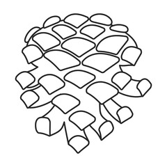 Pine cone vector outline icon. Vector illustration pinecone on white background. Isolated outline illustration icon of cone fir.