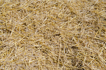 Structure of chopped straw bedding | 5594