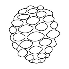 Pine cone vector outline icon. Vector illustration pinecone on white background. Isolated outline illustration icon of cone fir.