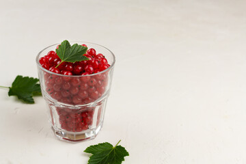 Red currant in a glass on light background