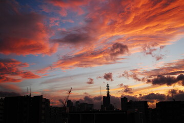 Naklejka premium 夕暮れ