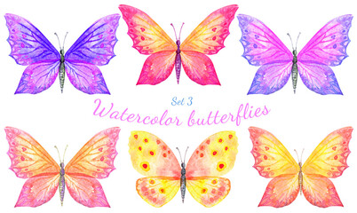 watercolor butterfly isolated on white background
