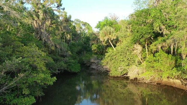 Pull-back aerial of a small natural Florida cove with brackish water surrounded by Spanish moss covered live oak trees and palm trees. Spruce Creek Basin, Doris Leeper Preserve, New Smyrna Beach, Flor