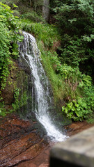 Fototapeta na wymiar Sankenbach Wasserfall II