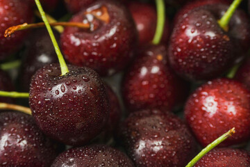Red fresh juice cherry. Close up. Fresh berries. Food industry. Produce product