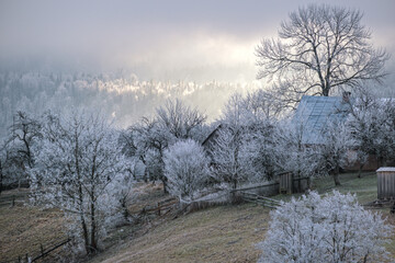 Winter coming. Picturesque pre sunrise scene above late autumn mountain countryside with hoarfrost on grasses, trees, slopes. Peaceful fairy sunlight rays from cloudy sky. Ukraine, Carpathian.