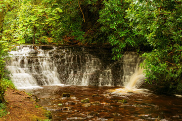 Beautiful water fall in a forest