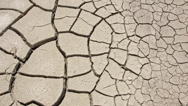 Texture from mud dried in the heat of summer during drought in Utah.