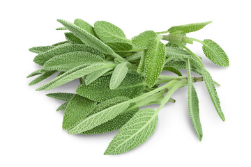 Obraz premium fresh sage herb isolated on white background with clipping path and full depth of field