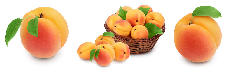 apricot fruit with half and slices isolated on white background with full depth of field. Set or collection