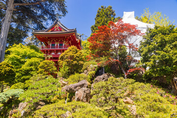 Sunny view of the Japanese Tea Garden in Golden Gate Park