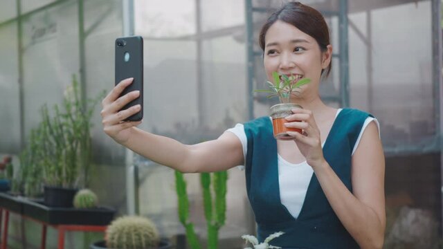 Happy Asian beautiful young woman taking selfie photo of small tree on pot by smartphone for sale in garden near greenhouse, female gardener video call live stream on digital mobile phone, house plant
