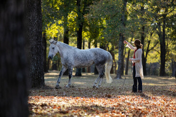 Horse and girl at liberty