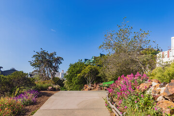 Obraz premium Beautiful landscape around the Ina Coolbrith Park