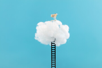 Ladder leading to cloud shopping concept