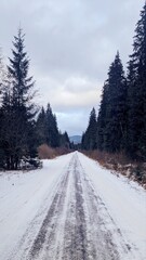 Obraz premium road in the snow