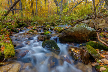  Sikhote-Alin Biosphere Reserve. Shutter speed shooting. A crystal clear stream flows over pebbles in an autumn forest. Reserved river.