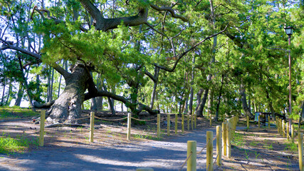 世界遺産の海辺