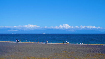 世界遺産の海岸