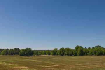 Fototapeta na wymiar Beautiful Country farmland trees and clear blue sky background