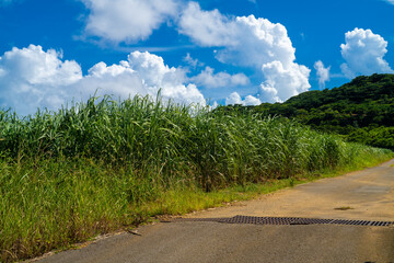 沖縄県石垣島の風景 Ishigaki Okinawa