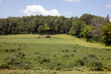 old farm tractor in green field