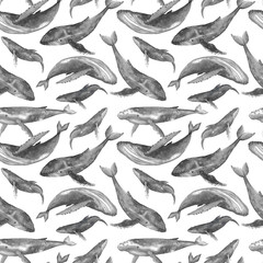 Black and white humpback whales seamless pattern