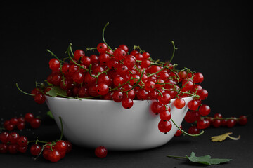 Yammy fresh red currant in a white bowl