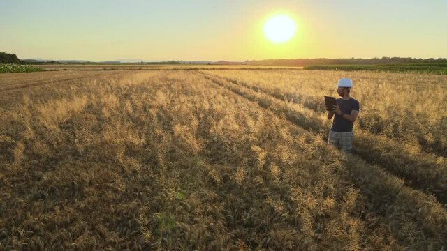 Agricultural engineer using technology tablet to check crop quality, future job