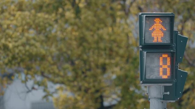 traffic lights on the streets of Taiwan