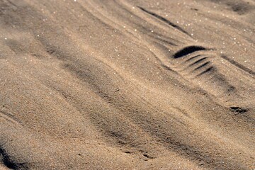 Fine luminous sand patterns in the beach of Matosinhos