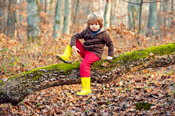Kid boy walking in the Autumn Park. Warm sunny weather.