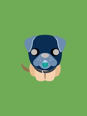 cartoon dog