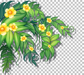 Tropical flowers with leaves on transparent background