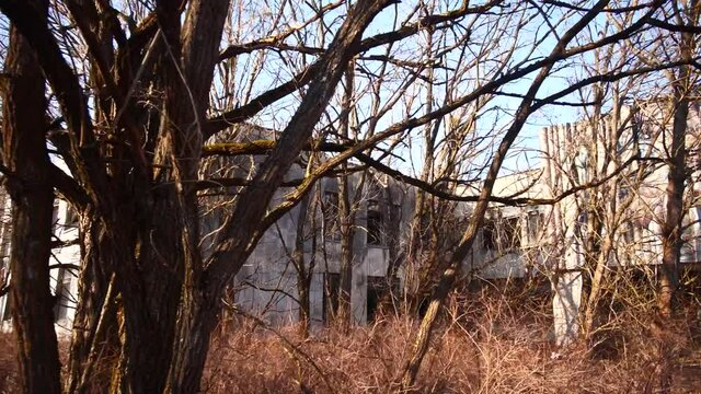Building and Art Center peeking through winter trees, Chernobyl Pripyat