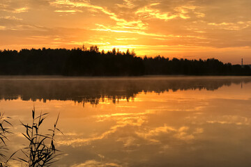 Orange sky at sunset over lake reflects on still water surface, dark forest line silhouetted on horizon