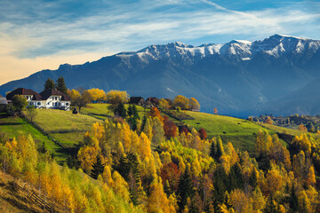 Autumn landscape with colorful deciduous trees on the hills, Romania