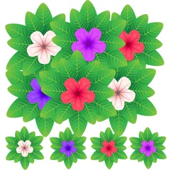 Acrylglas Duschewand mit Foto Tropische Pflanzen Set of vector compositions from Ruellia Tuberosa Flower. for wedding concept - flowers, Floral posters, vector arrangements for greeting card or invitation design, and other.