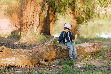 Happy boy playing on wooden stump during stroll in the forest. A Little boy walking in wood. Little boy exploring nature vacation. Summer vacation. Children hiking. Boy having fun. School camping time