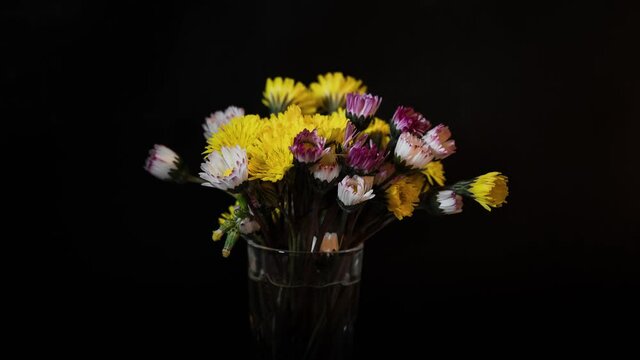 Timelapse of flowers blooming in a glass vase with black background